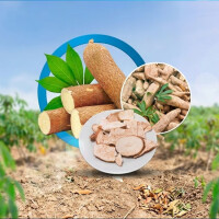 How Tapioca Chips Contain High Nutritional Content For Animals?