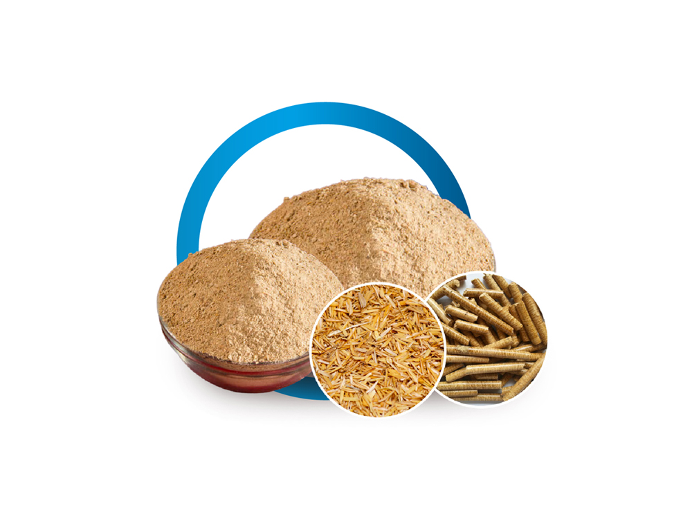 Discover The Little-Known Uses Of Rice Husk