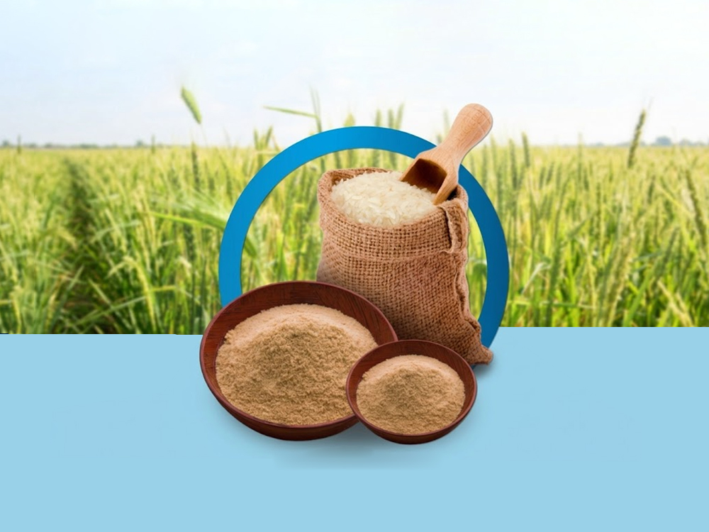 The Value Of Rice Bran In Animal Feed Processing