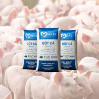 Why Does Fish Meal Play An Important Role In Pig Farming?