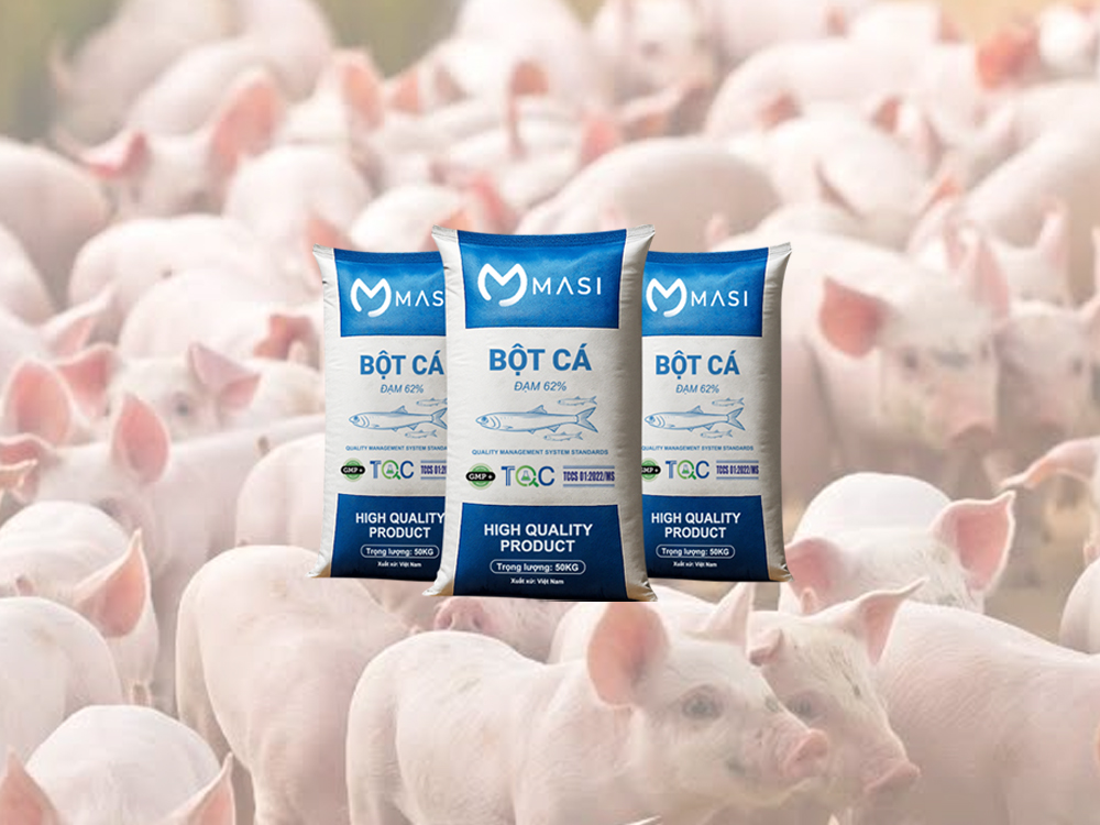 Why Does Fish Meal Play An Important Role In Pig Farming?