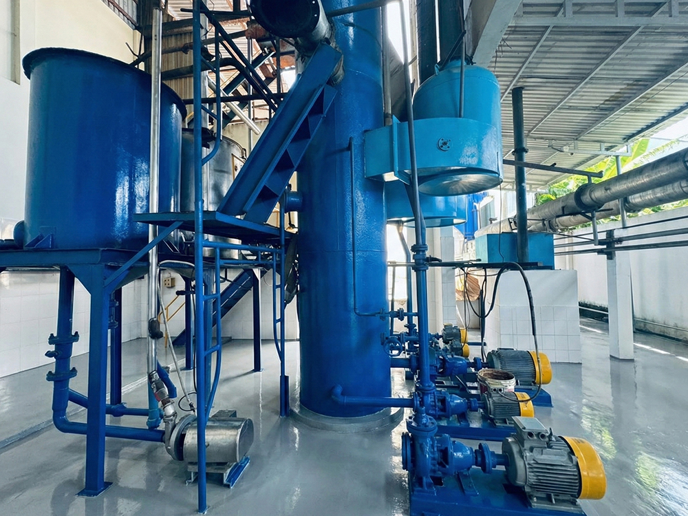 Quy Trình Sản Xuất Bột Cá Tại Masi
