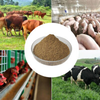 Fish Meal - The Secret To Highly Efficient And Sustainable Cattle Farming