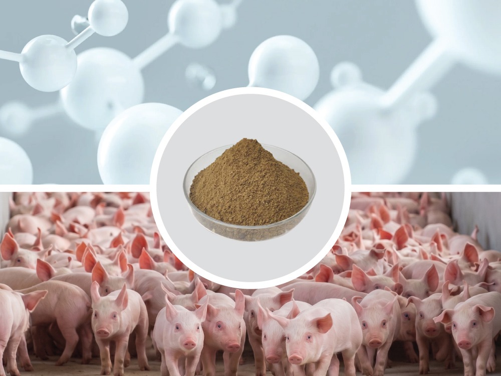 Bột Cá - Mắt Xích Dinh Dưỡng Thiết Yếu Cho Vật Nuôi