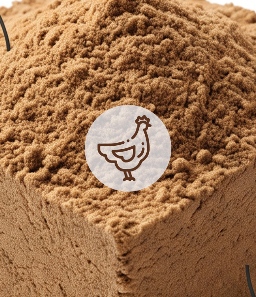 Poultry Meal
