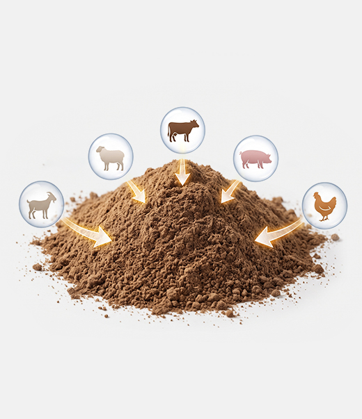 Meat and Bone Meal
