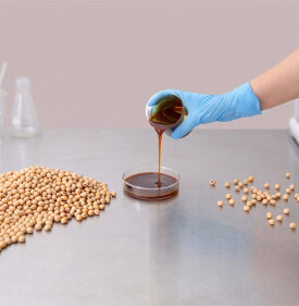 Lecithin