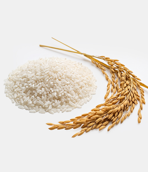 Broken Rice For Animal Feed
