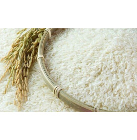 Broken Rice For Animal Feed