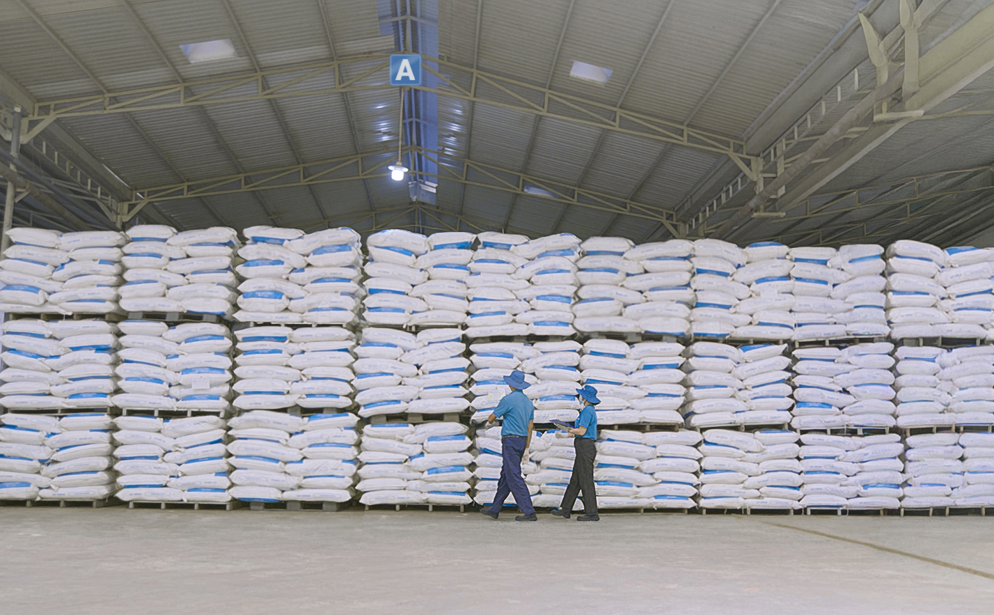 Masi Conquers the International Market