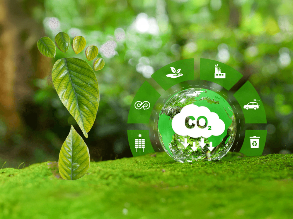 Vỏ Trấu Và Dấu Chân Carbon