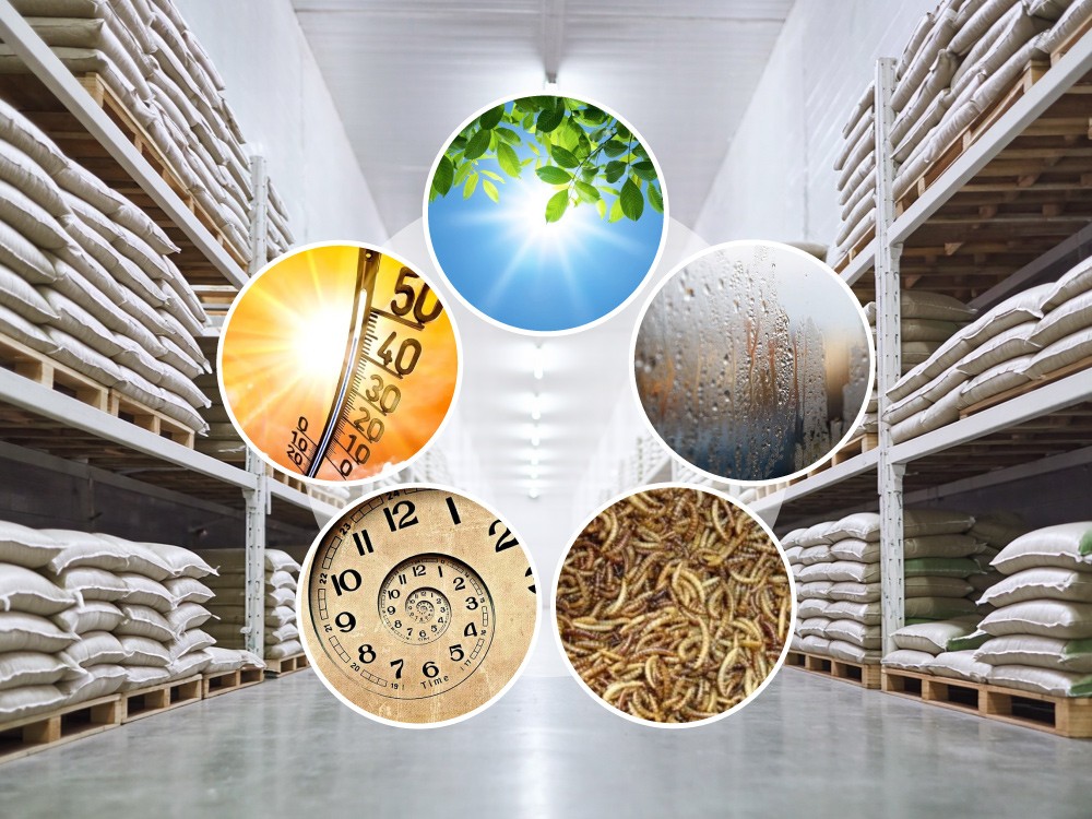 Comprehensive Guide to Prolonging the shelf life of Animal Feed